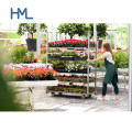 Plants Storage Greenhouse Transport Nursery Steel Flower Racks